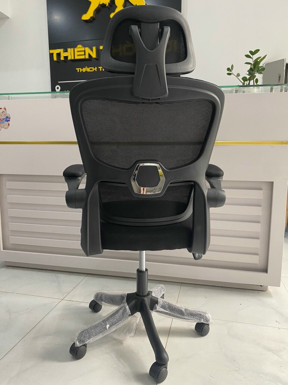 Ghế Công Thái Học TMS09
